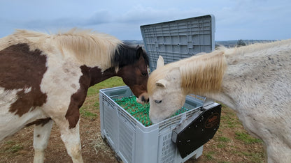 The NetBox Hay Feeder (with timer)