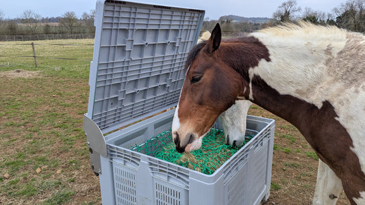 The NetBox Hay Feeder (with timer)