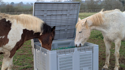 The NetBox Hay Feeder (with timer)